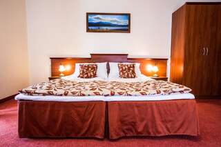 Отель Hotel Concordia Подгужин Двухместный номер с 1 кроватью или 2 отдельными кроватями-1