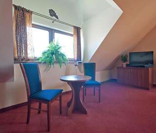 Отель Hotel Concordia Подгужин Двухместный номер с 1 кроватью или 2 отдельными кроватями-3