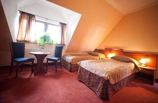 Отель Hotel Concordia Подгужин Двухместный номер с 1 кроватью или 2 отдельными кроватями-4